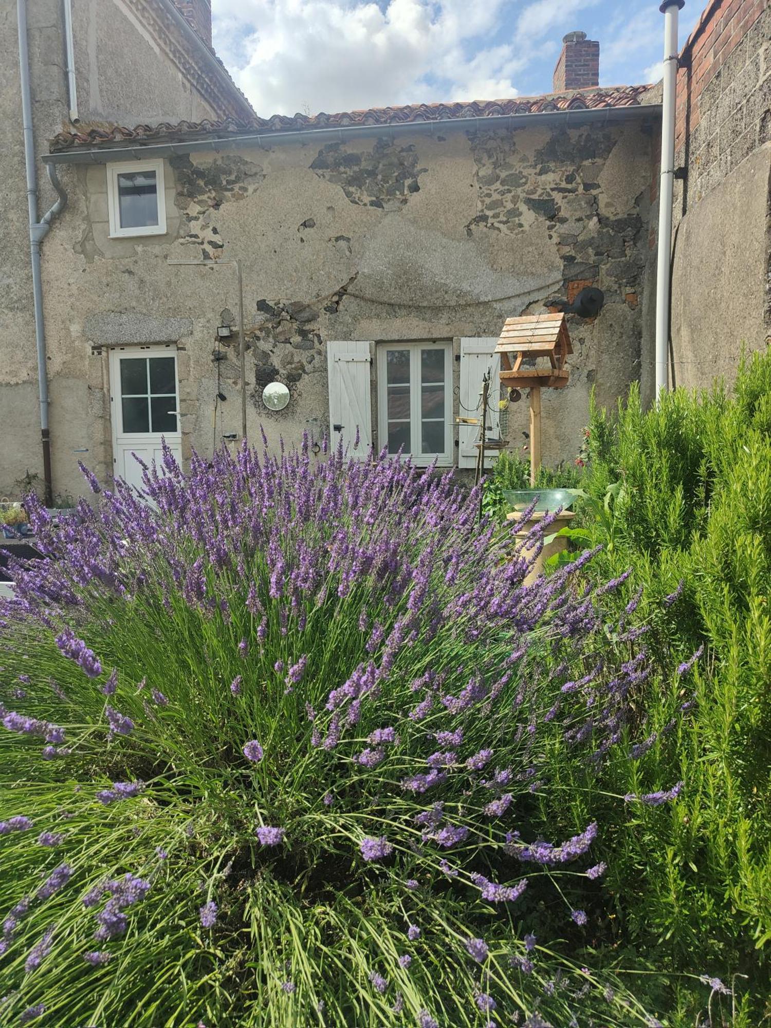 לינה וארוחת בוקר Chanteloup  Wisteria House מראה חיצוני תמונה