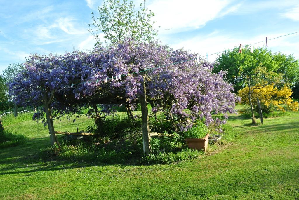 לינה וארוחת בוקר Chanteloup  Wisteria House מראה חיצוני תמונה