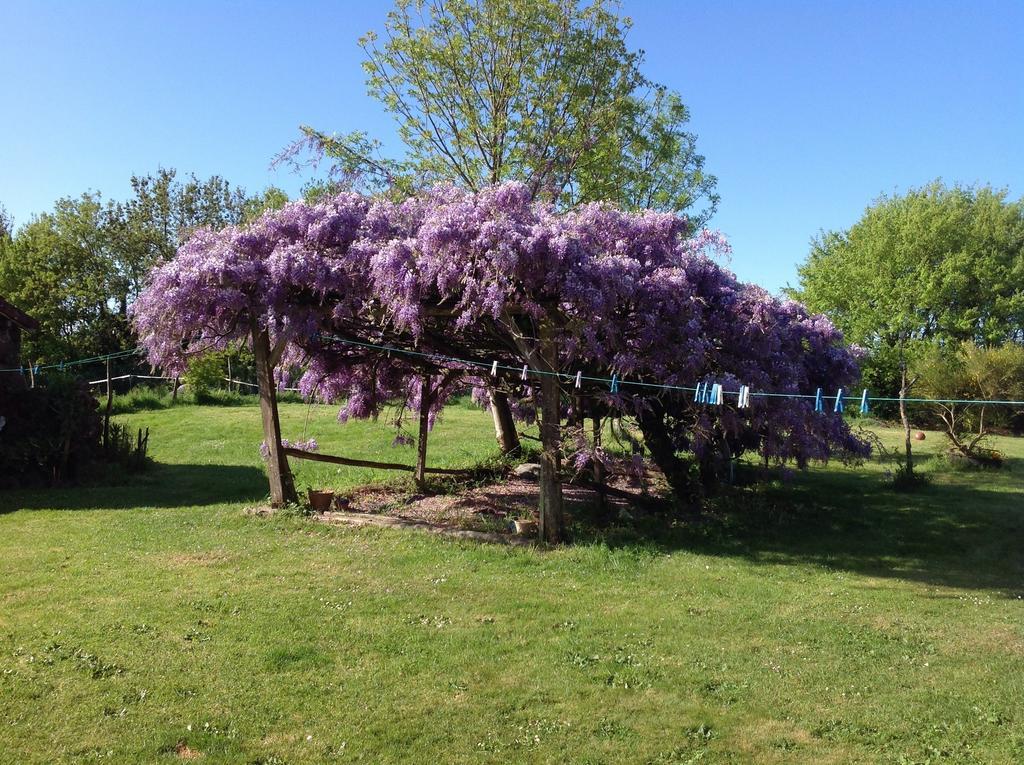 לינה וארוחת בוקר Chanteloup  Wisteria House מראה חיצוני תמונה